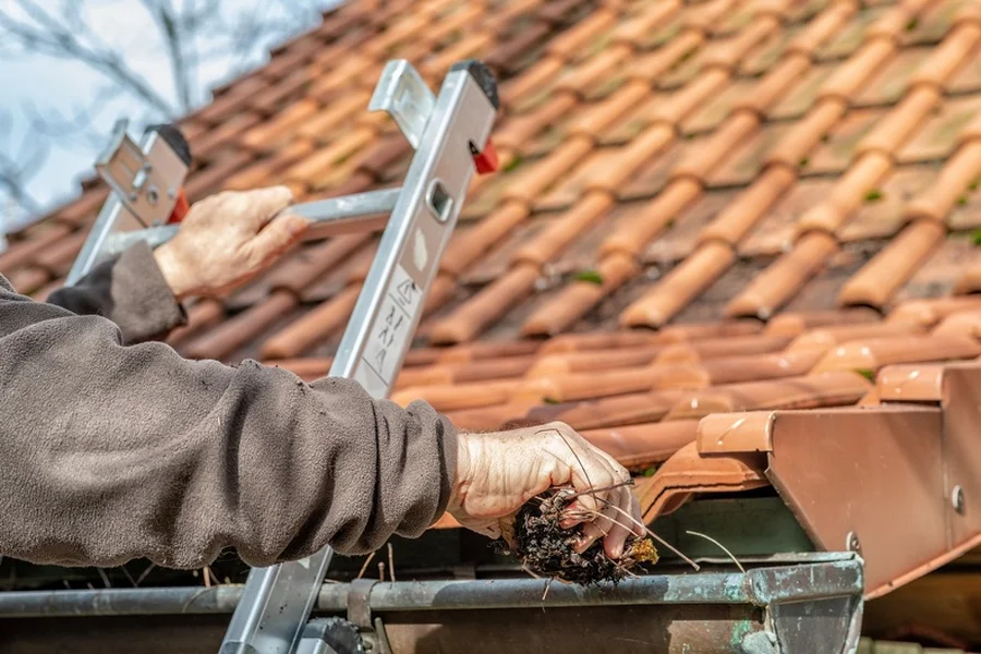 How Gutter Cleaning Helps Prevent Mold And Mildew Growth Riverview, FL
