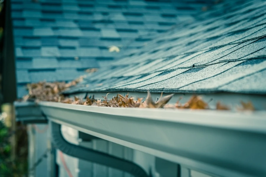 How Gutter Cleaning Helps Prevent Mold And Mildew Growth in Riverview, FL