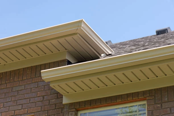 Signs You Need Immediate Soffit Replacement in Riverview, FL